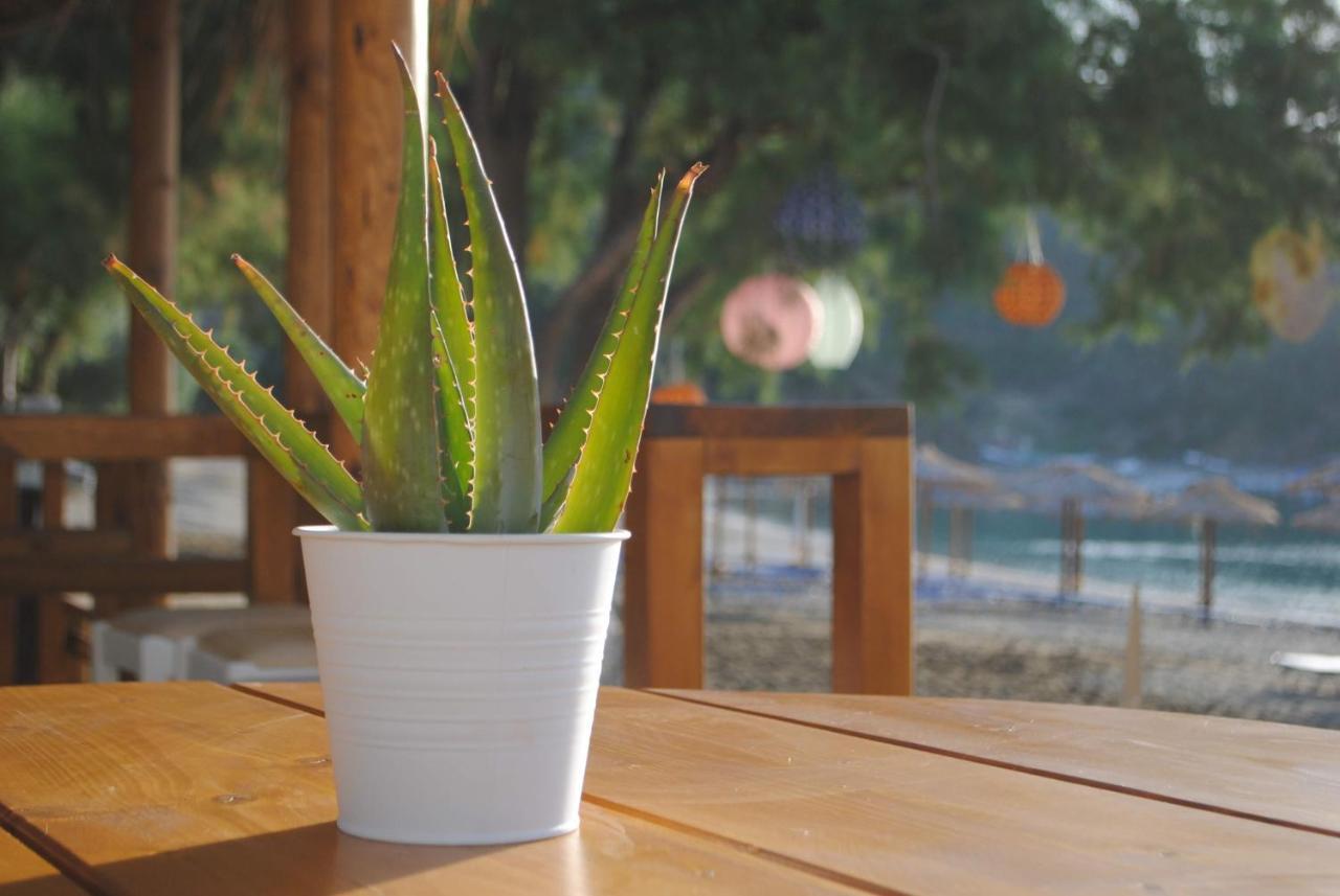 Akhladherí Puerto Seaside Rooms المظهر الخارجي الصورة